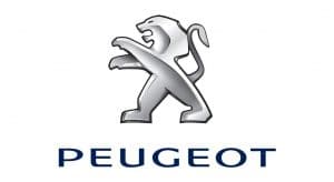 Pourquoi faut-il acheter Peugeot 308 pse ?